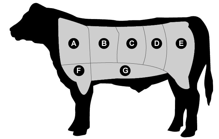 A beef chart showing the cuts of meat.